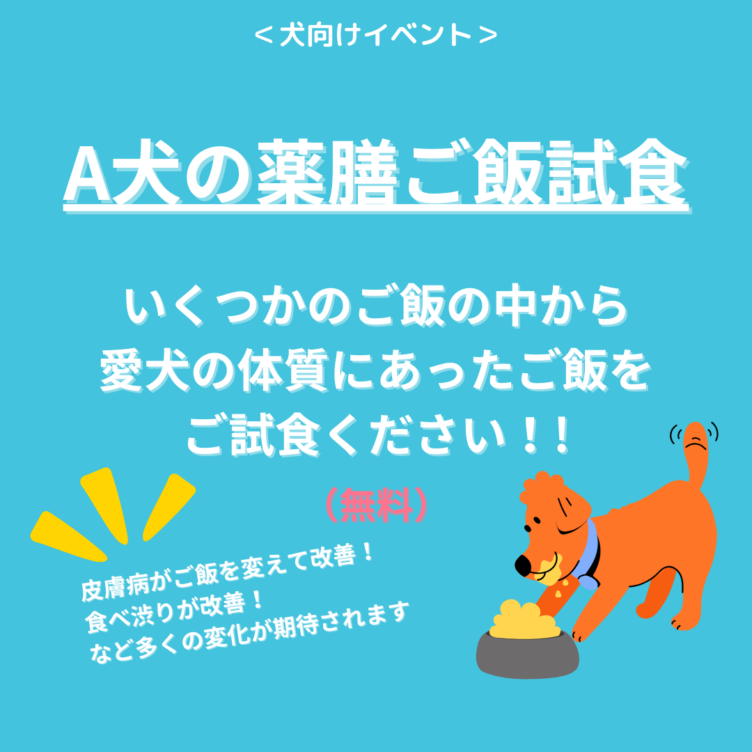 【辻堂】人と犬の健康フェスタ＠湘南辻堂