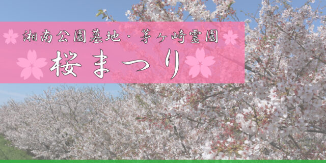 桜まつり