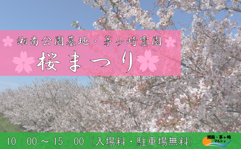 桜まつり