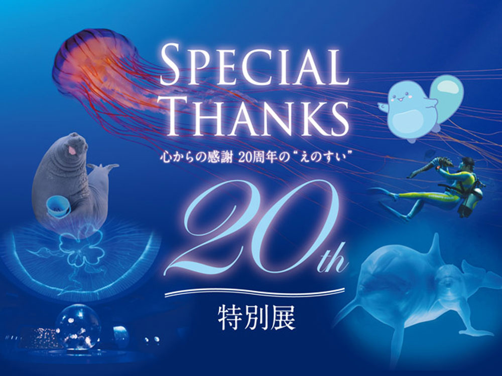【江の島】新江ノ島水族館20周年で初となる ゴマフアザラシの赤ちゃん誕生！
