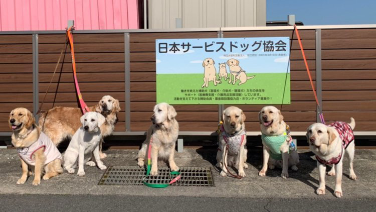【平塚】第7回ハウオリ・マカナ