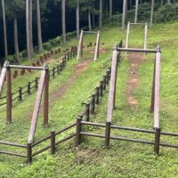 大きなターザン遊具あり