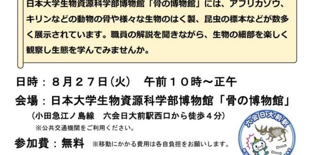 骨の博物館
