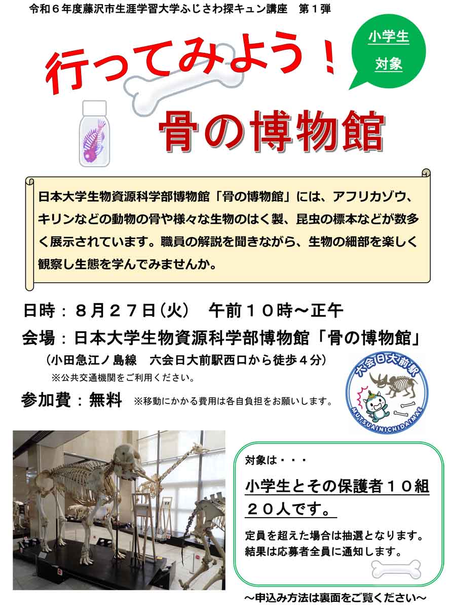 骨の博物館