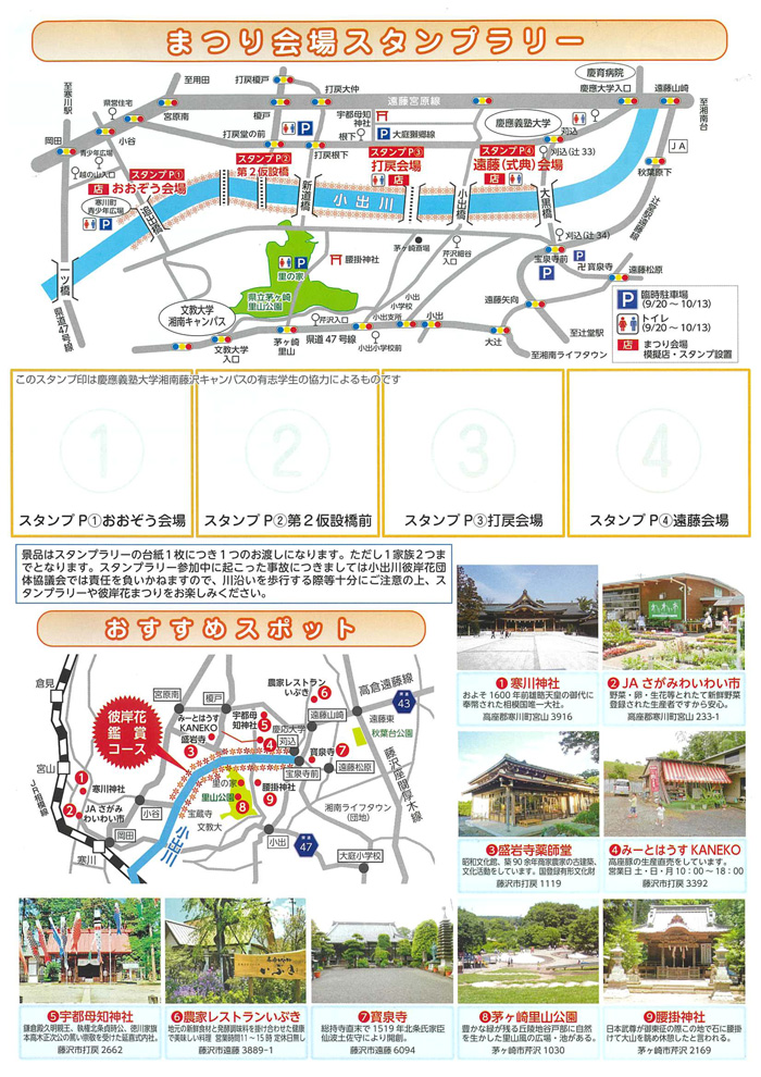 【藤沢～茅ヶ崎～寒川】第18回 小出川彼岸花まつり