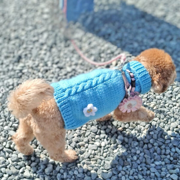 cocoのお店