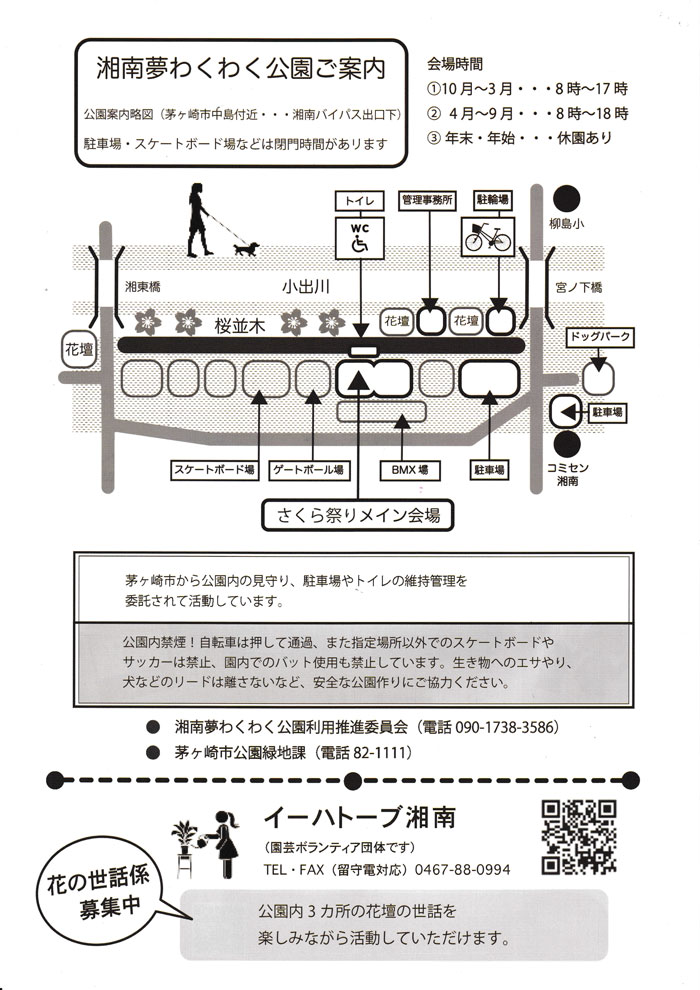 ※本年度は終了しました※【茅ヶ崎・柳島】湘南夢わくわく公園　桜まつり