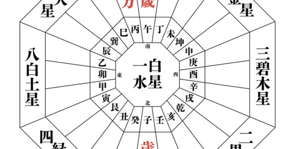 フォーチュンケイシ