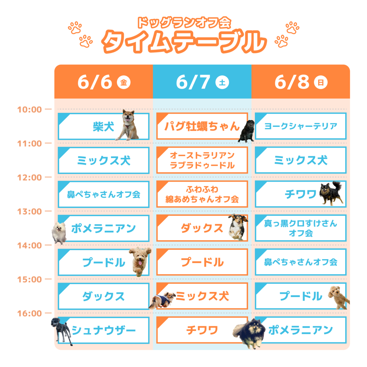 【お台場】ジャパンわんこフェスタ2025 in お台場 – FLAFFY × UUUM –  with わん！だふるピクニックフェス