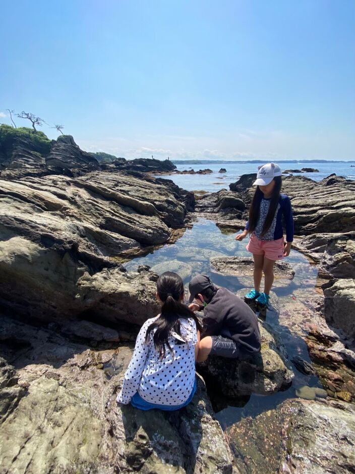 【わくわく！生き物観察 磯遊びキャンプ】＊ランチ付き