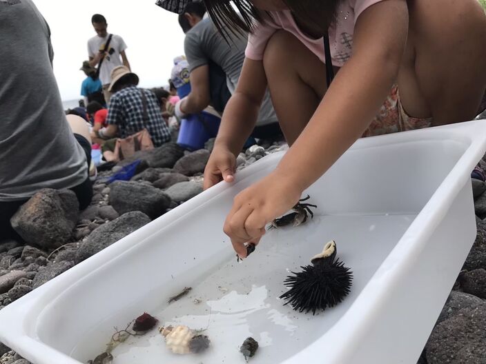 【わくわく！生き物観察 磯遊びキャンプ】＊ランチ付き