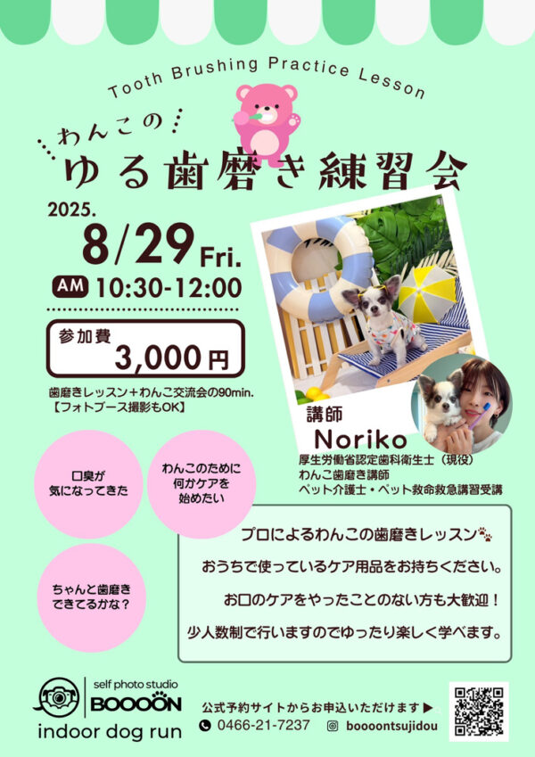 ゆる歯磨き