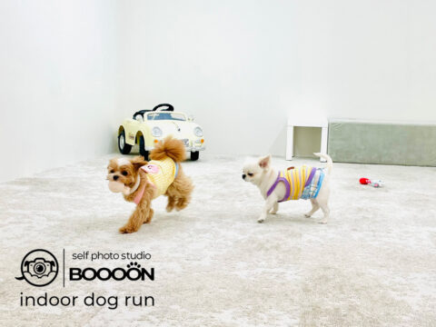 BOOOON湘南辻堂