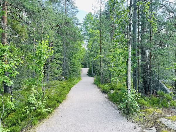 Forest itself