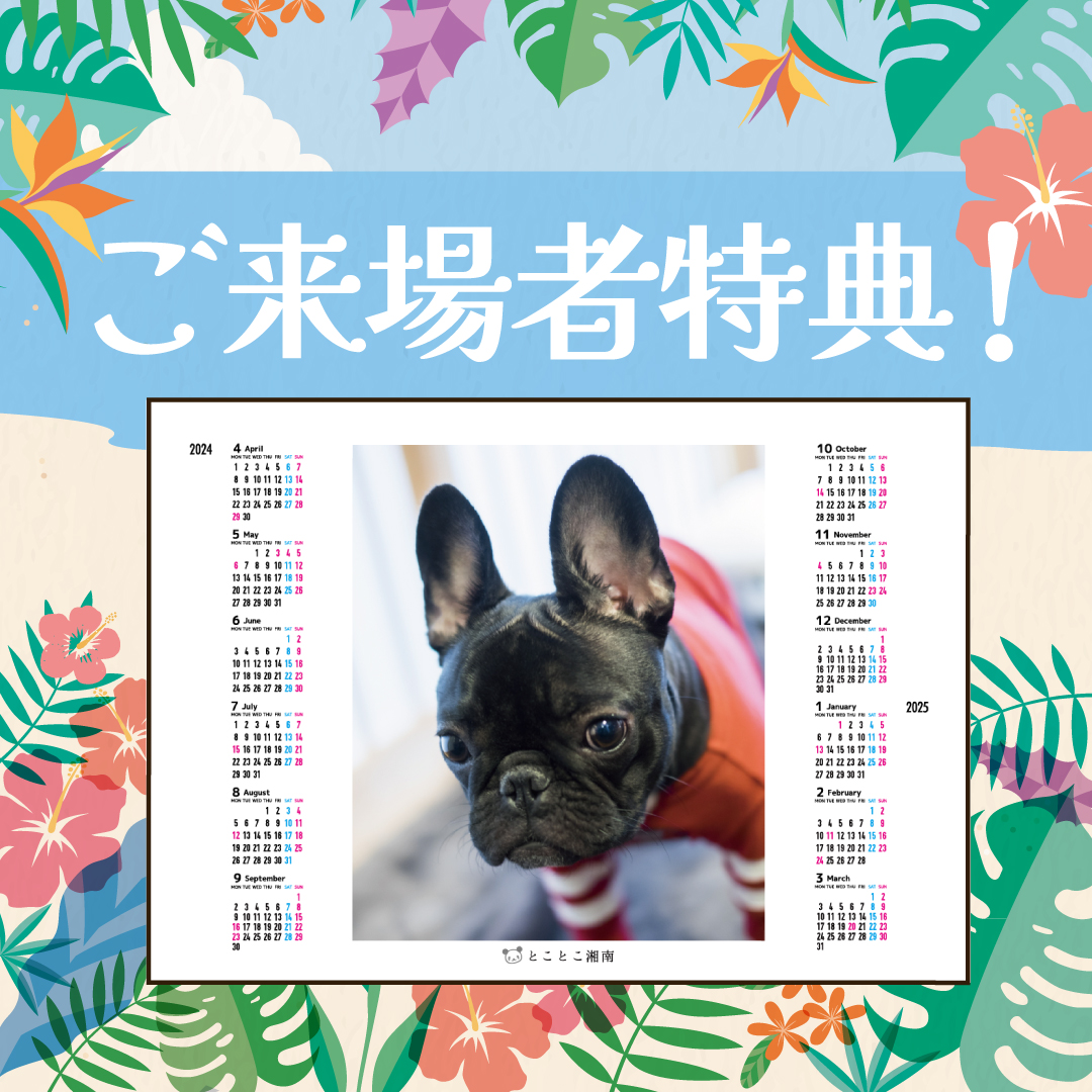 2026oricale_highlight02