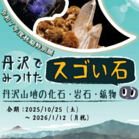 丹沢でみつけたスゴイ石