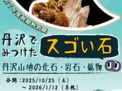 丹沢でみつけたスゴイ石