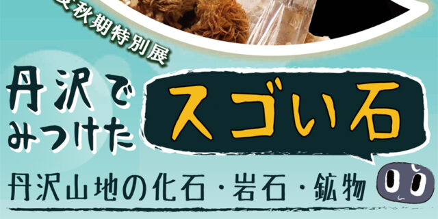 丹沢でみつけたスゴイ石