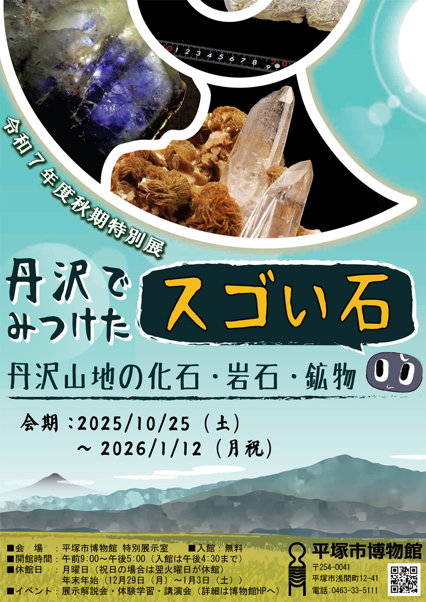 丹沢でみつけたスゴイ石