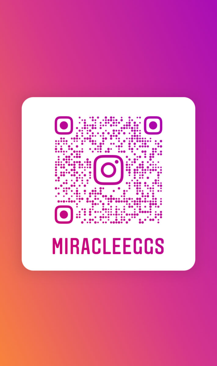 ARISE 大谷尚子 個展