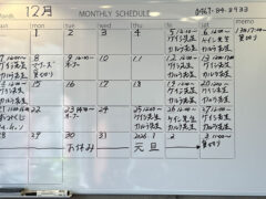 茅ヶ崎の占いカフェ