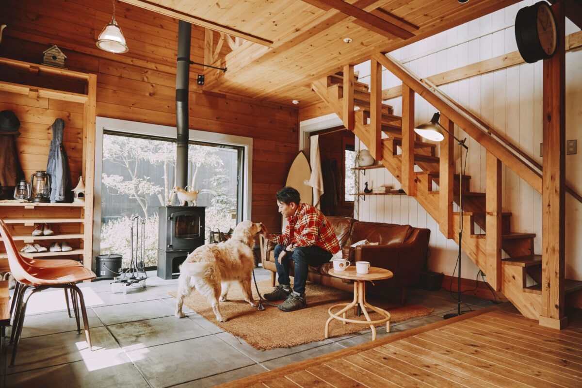 【BESS藤沢】スペシャル犬(ワン)DAY開催！