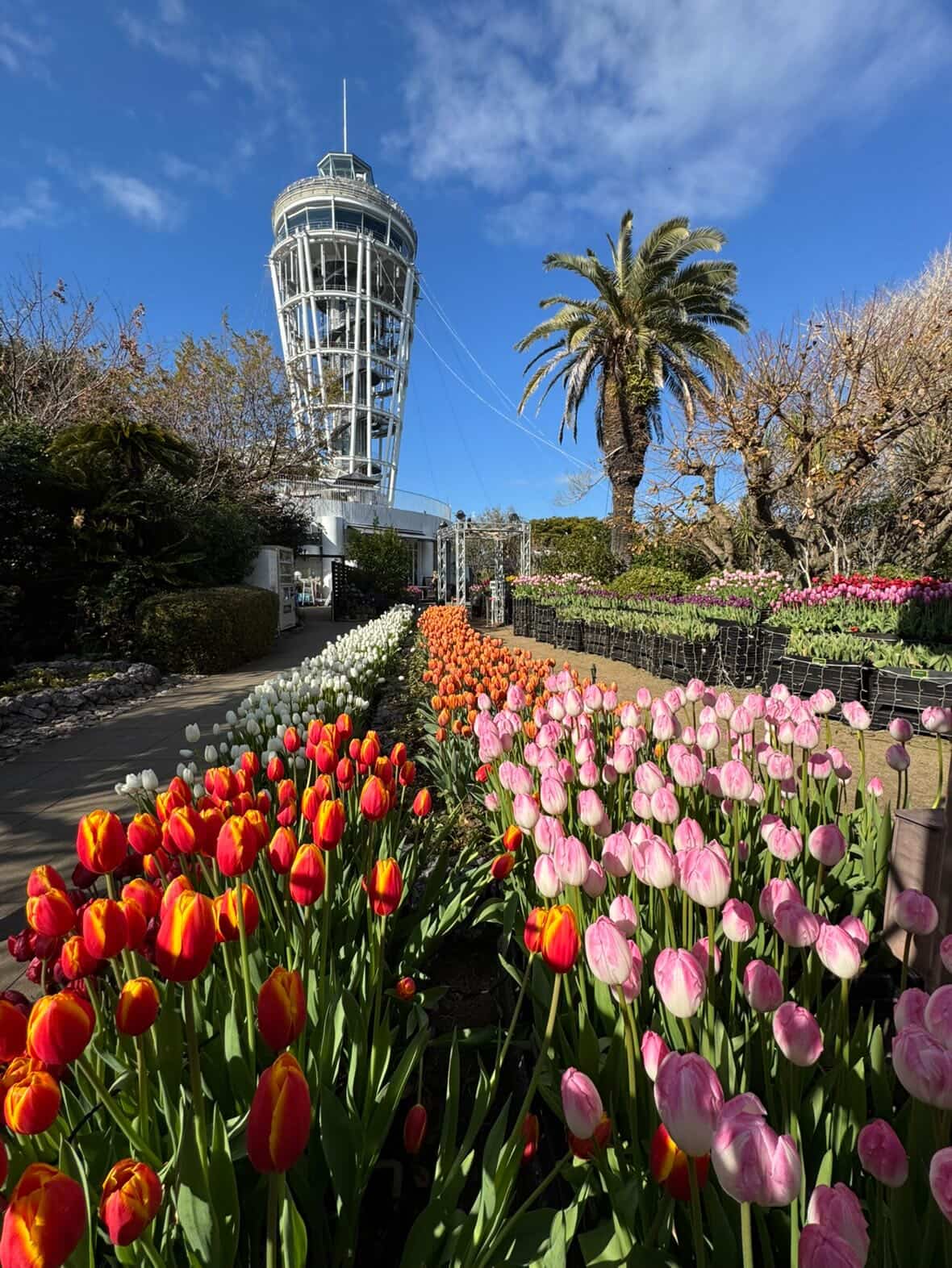 642640220_1524104275741745_625719767018806415_n