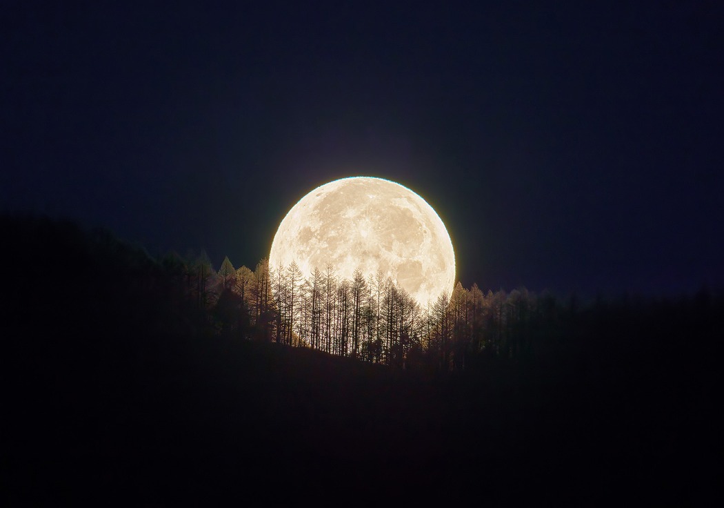 ★ご招待券プレゼント★【横浜】「KAGAYA　天空の歌」(そごう美術館)