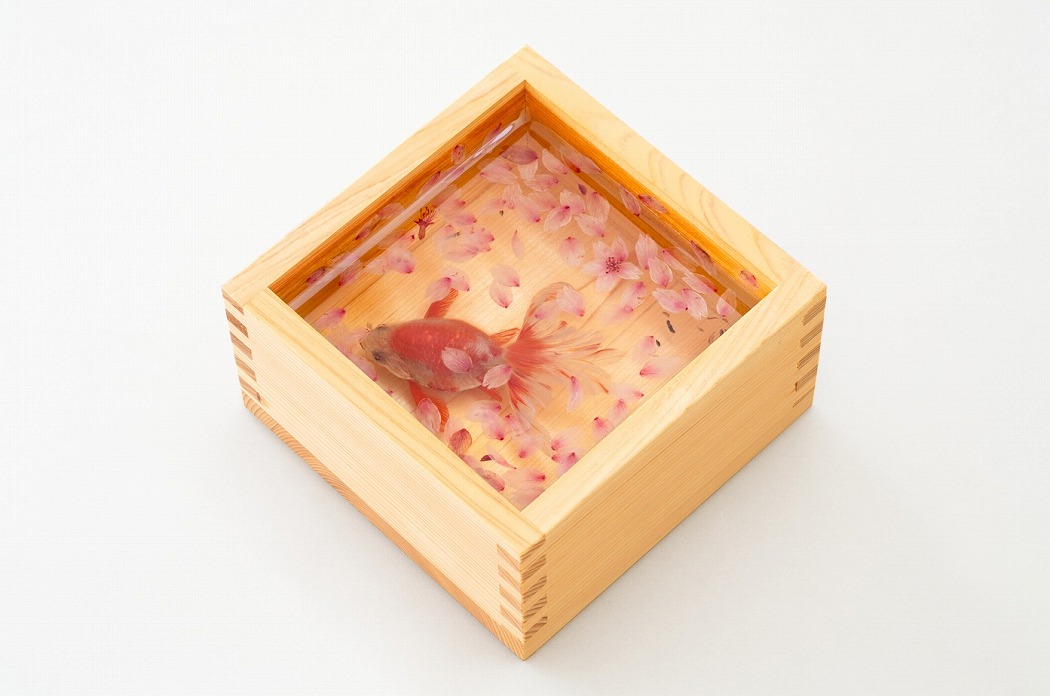 【平塚】平塚市美術館 特集展「花の表現、その多様性 ／ 特別展示　新収蔵品展」