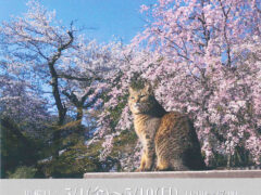 小森正孝