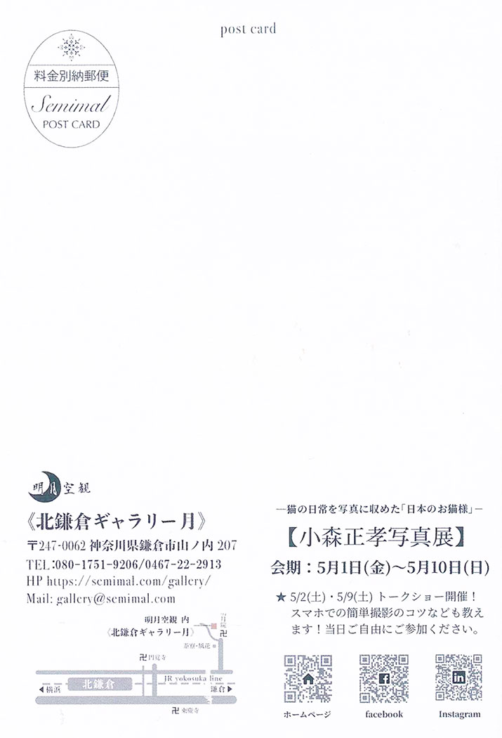 【鎌倉】-猫の日常を写真に収めた｢日本のお猫様｣-小森正孝写真展