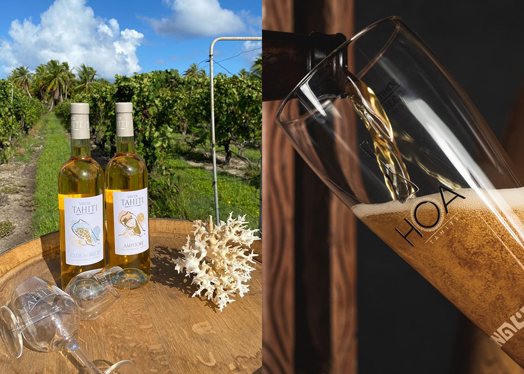 【横浜】Tahiti Festa（タヒチフェスタ）2026 Yokohama