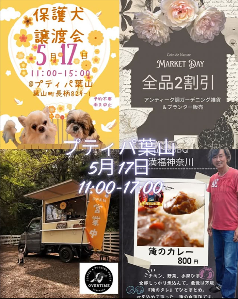 保護犬譲渡会