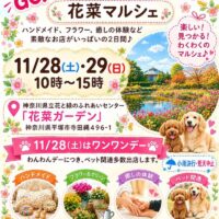 オータムフェスティバル
