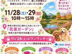 オータムフェスティバル